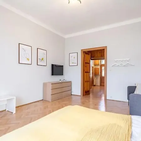 Apartment Raday